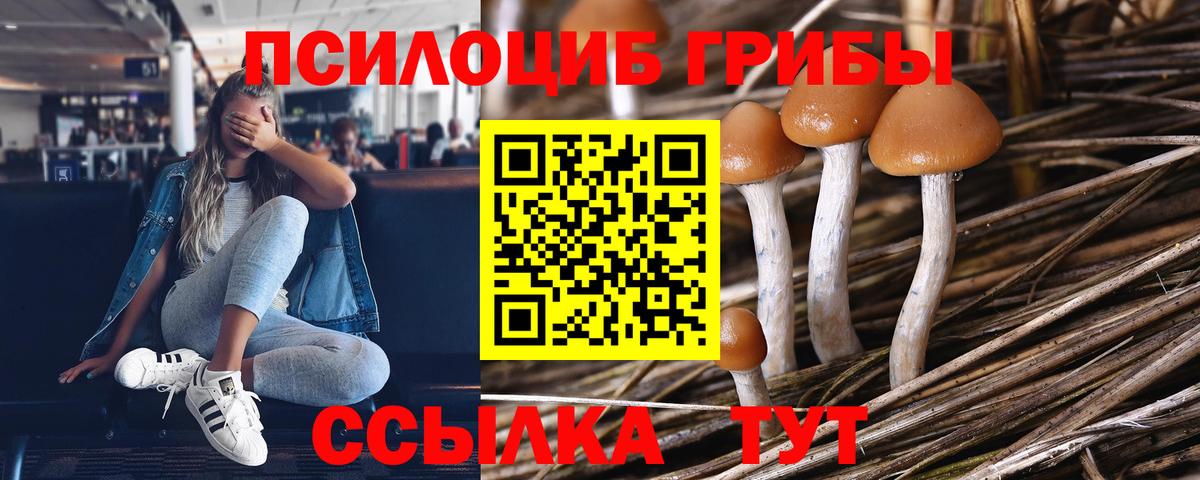 Псилоцибиновые грибы Psilocybe  Вход с VPN  Новоалтайск  Галлюциногенные грибы мухоморы 